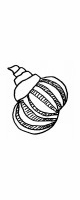 shell 3