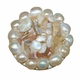 shell & pearl drawer knob