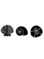 shell trio