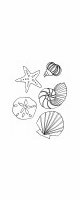 shells group