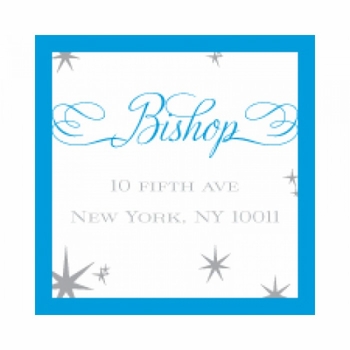 simple snowflake blue sticker