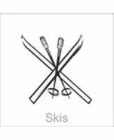 skis