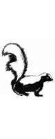 skunk