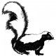 skunk