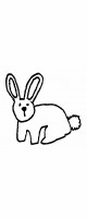 small bunny