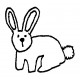 small bunny