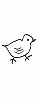 small chick