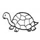 small turtle