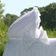 snowbird bassinet <br> (contact us for pricing)