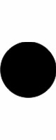 solid circle