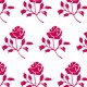 solid rose
