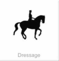 soundview millworks monograms equestrian gressage