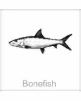 soundview millworks ocean bonefish