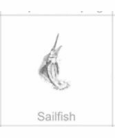 soundview millworks ocean sailfish