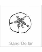 soundview millworks ocean sand dollar