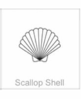 soundview millworks ocean scallop shell