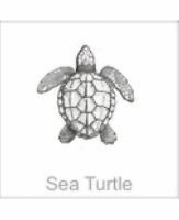 soundview millworks ocean sea turtle
