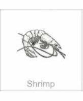 soundview millworks ocean shrimp