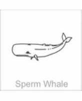 soundview millworks ocean sperm whale