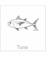 soundview millworks ocean tuna