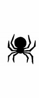 spider single
