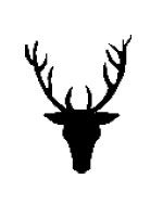 stag antlers