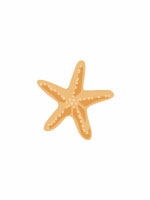 starfish