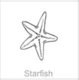 soundview millworks ocean starfish