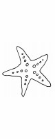 starfish