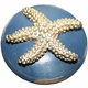 starfish drawer knob