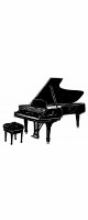 steinway