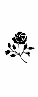 stem rose