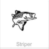 soundview millworks ocean striper