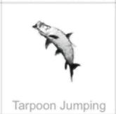 soundview millworks ocean tarpoon jumping