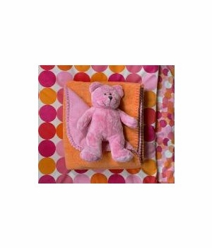 teddy bear and matching blanket
