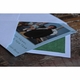 Teddy Bear Holiday Card
