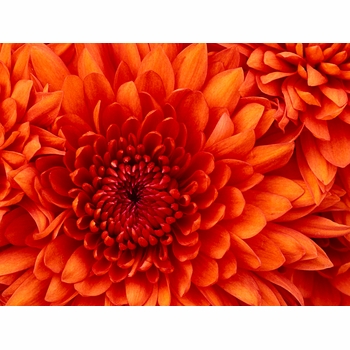 Test 1