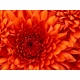 Test 1