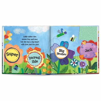 the super incredible big brother book