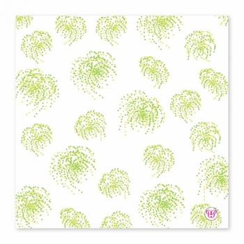 tidings of joy holiday cards
