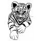 tiger cub