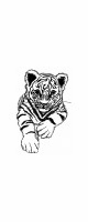 tiger cub