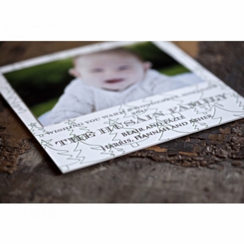 Tree Tops Holiday Card