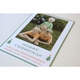 tree triangle holiday card