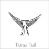 soundview millworks ocean tuna tail