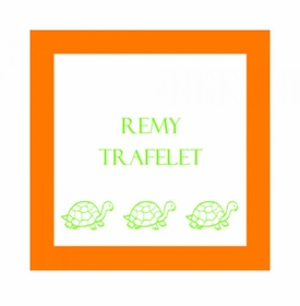 Turtle Gifts Stickers