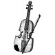 violin
