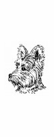 westie
