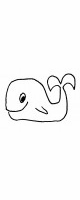 whale