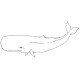 whale